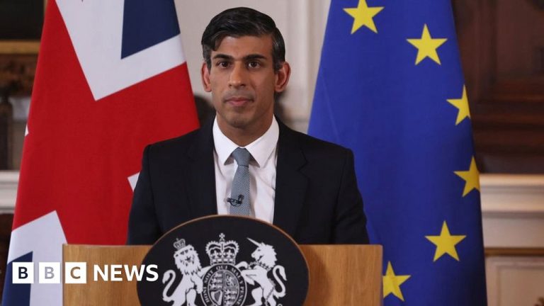 Rishi Sunak hails new NI Brexit deal but DUP concerns remain

