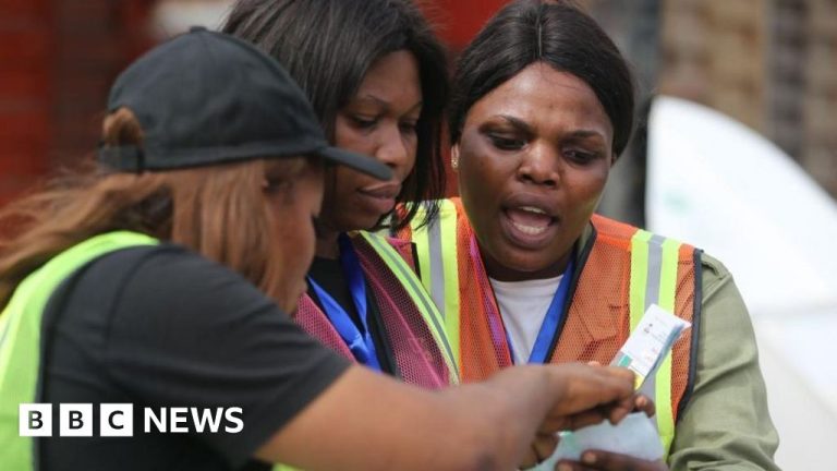 Nigeria Election Results 2023: The People's Democratic Party and Labor Party want the ballot to be abolished

