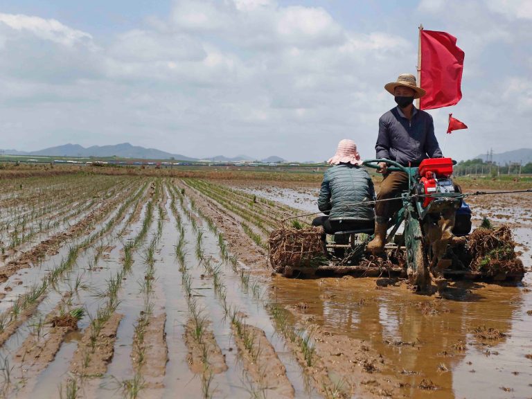  Is North Korea fighting a food crisis?  |  News

