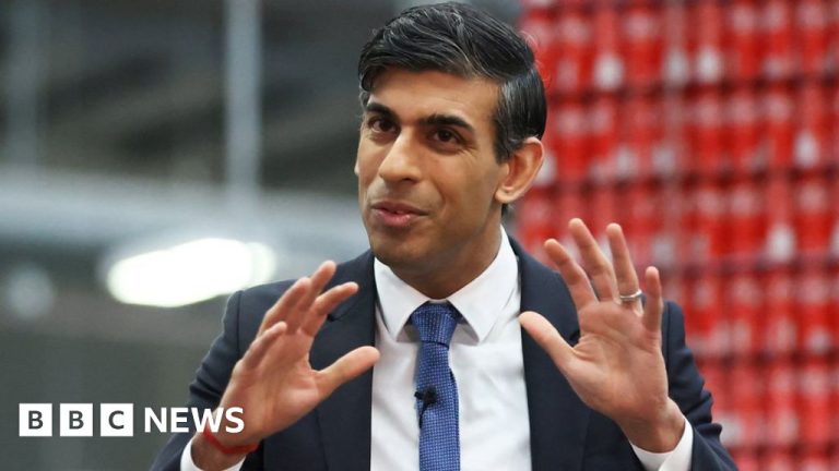 Don't create drama over the Brexit deal, Rishi Sunak told Tory MPs

