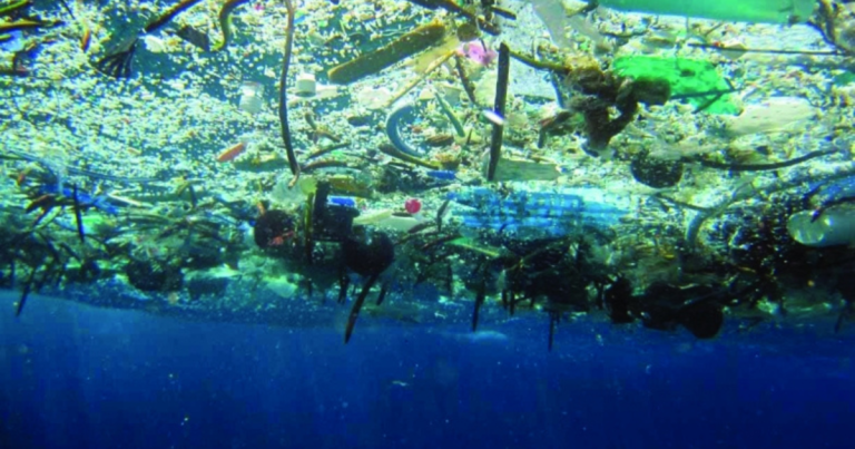 A large Pacific garbage patch in the middle of the ocean is now home to coastal species

