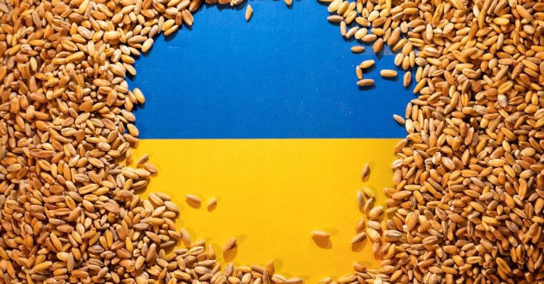 Ukraine's grain import ban escalated as Kiev sought a transit deal

