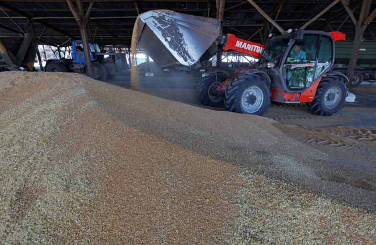 Five European countries will extend the ban on Ukrainian grain

