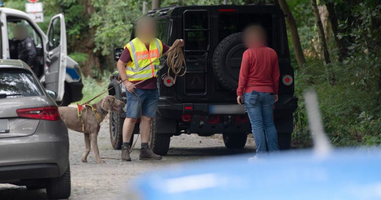 The police believe there is a lioness on the loose in Berlin

