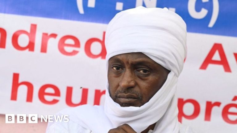 Yaya Dilou: Chadian opposition leader killed in an exchange of fire