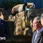Beijing offers pandas to repair relationship with Australia