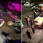 The police officer has been suspended after a horrific video showed him repeatedly hitting his calf with his patrol car