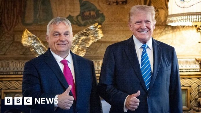 Hungary's Orban goes global as peacemaker without a plan

