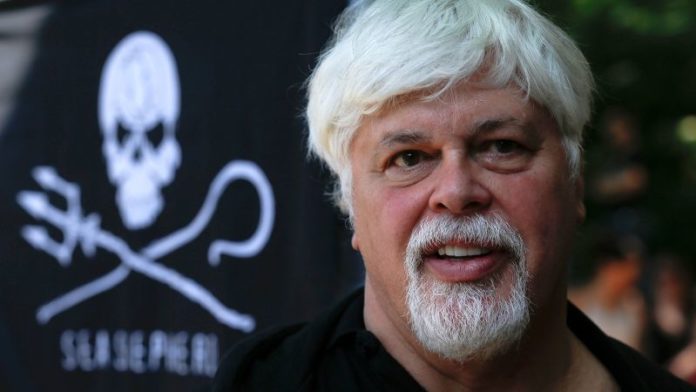 Paul Watson: Anti-whaling activist arrested in Greenland faces extradition to Japan, says Greenland Wildlife Conservancy

